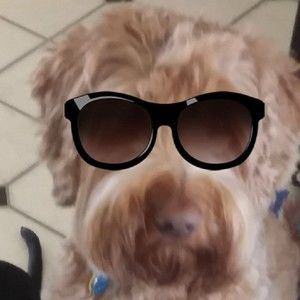 Meet your Posher, Carol